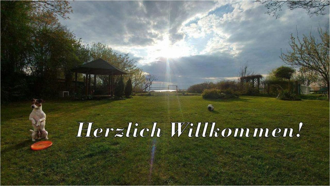 Villa Beata Nowe Warpno Dış mekan fotoğraf